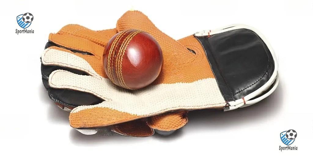 Cricket Gloves